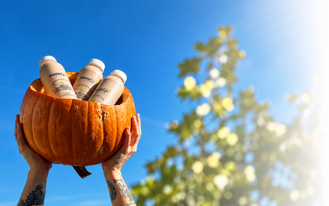 Pumpkin Spice Lattes are Pouring